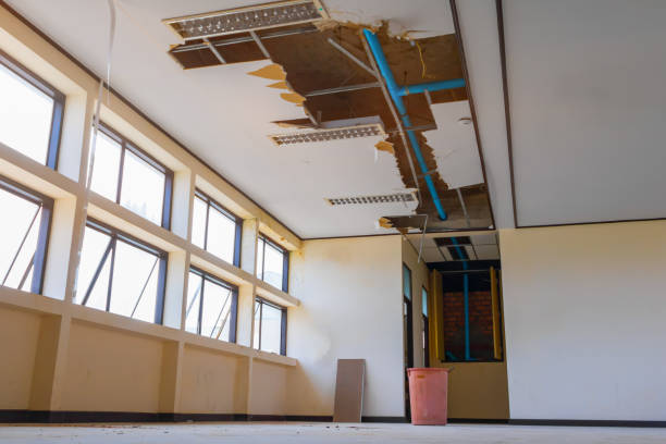Best Carpet water damage restoration  in Eagleville, PA