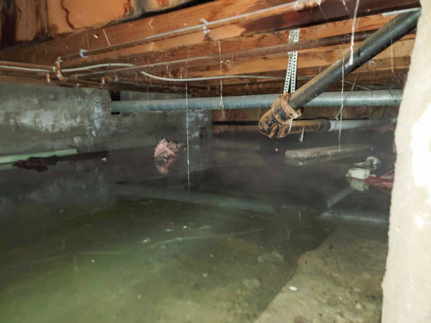 Best Residential water damage restoration  in Eagleville, PA
