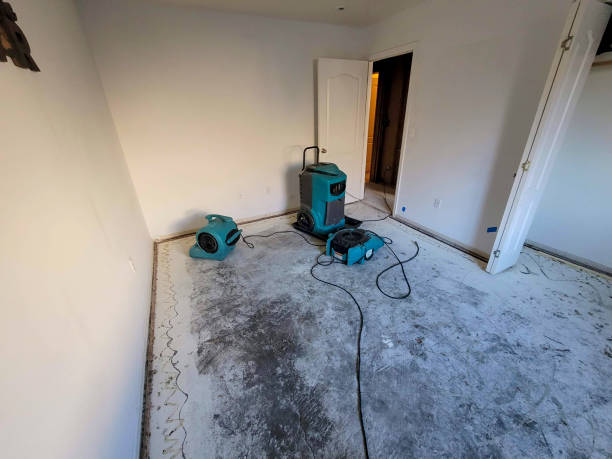 Best Basement water damage restoration  in Eagleville, PA