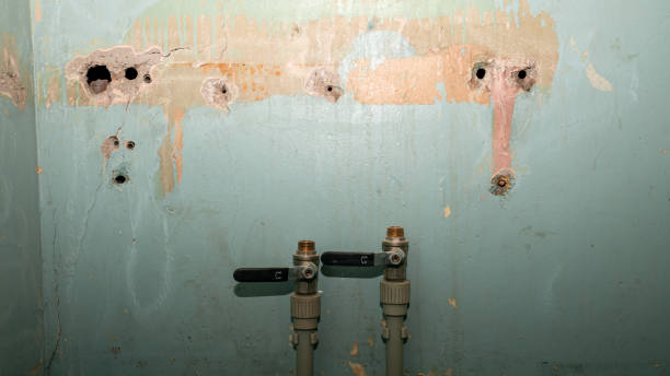 Best 24-hour water damage restoration  in Eagleville, PA