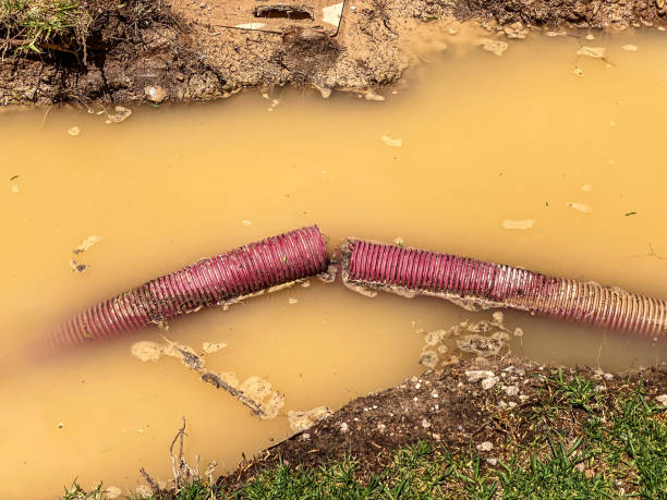 Best Professional water damage repair  in Eagleville, PA